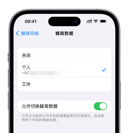 昭通苹果维修服务分享如何在iPhone上使用双卡 